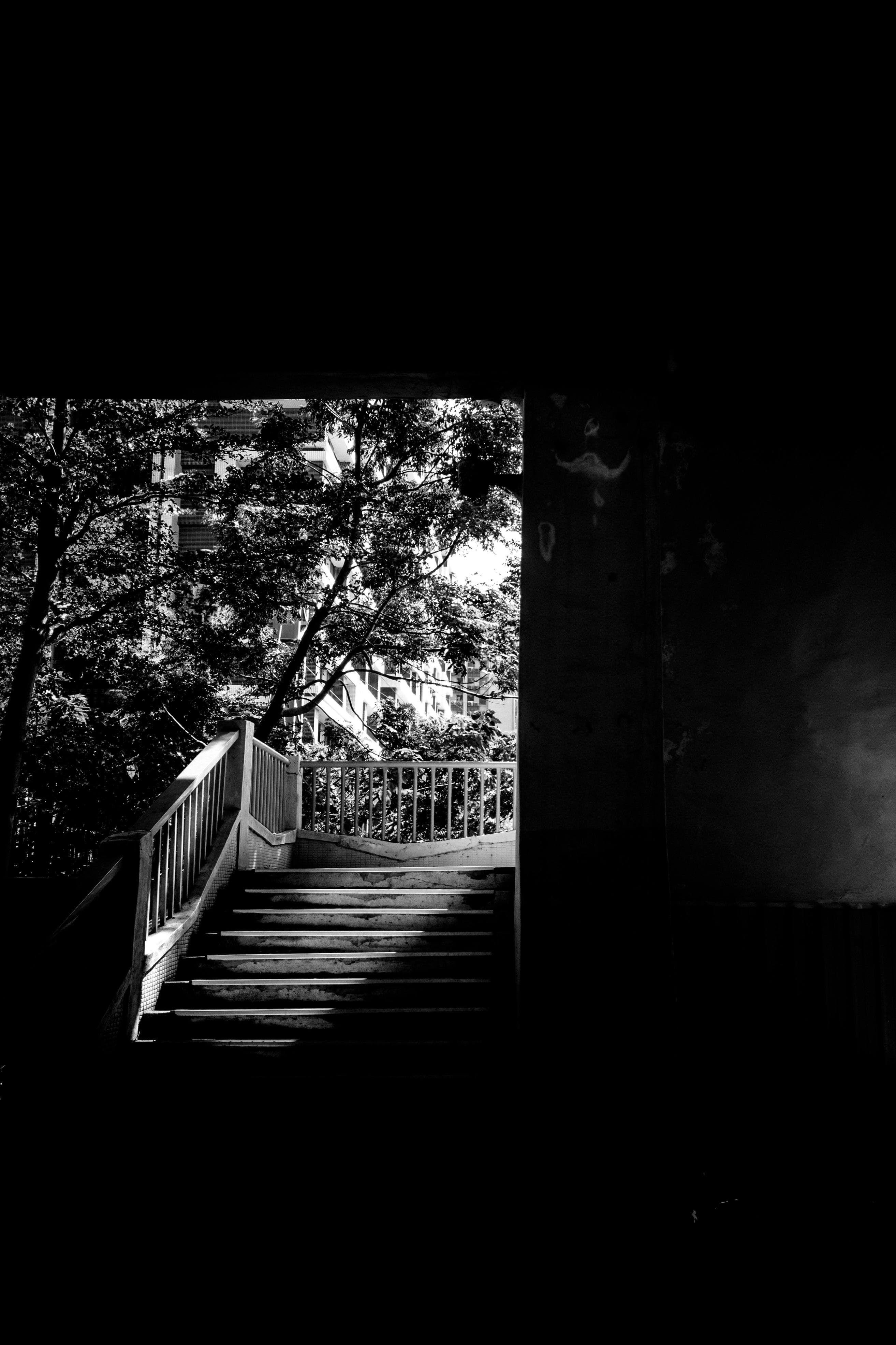 SEO for SaaS Startups: What to Prioritise When You Have No Time or Budget cover image